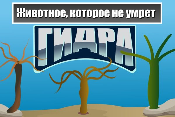 Найдется все kraken 2krn cc что это