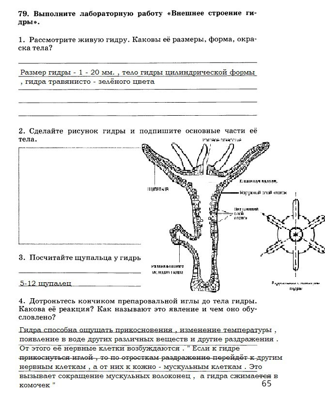 Ссылка кракен kraken014 com