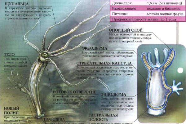 Кракен даркнет текст